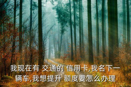 怎么申请交通信用卡额度高,交通信用卡第一次申请一般额度有多少