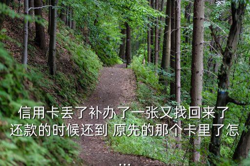  信用卡丢了补办了一张又找回来了 还款的时候还到 原先的那个卡里了怎...