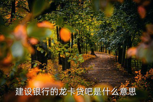 建设银行的龙卡贷吧是什么意思