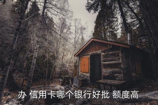 办 信用卡哪个银行好批 额度高