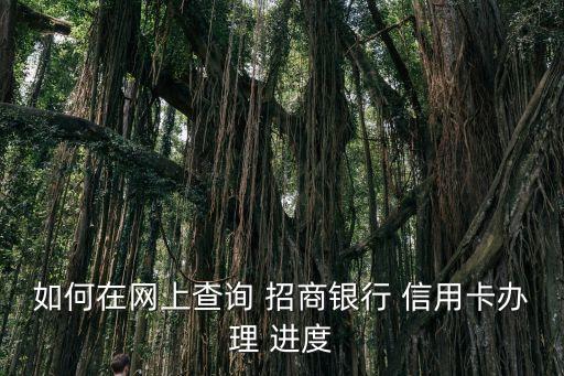 如何在网上查询 招商银行 信用卡办理 进度