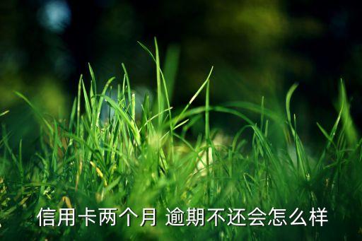 蒙商银行信用卡逾期2个月