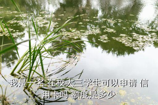 我是一名 在校大三学生可以申请 信用卡吗 额度是多少