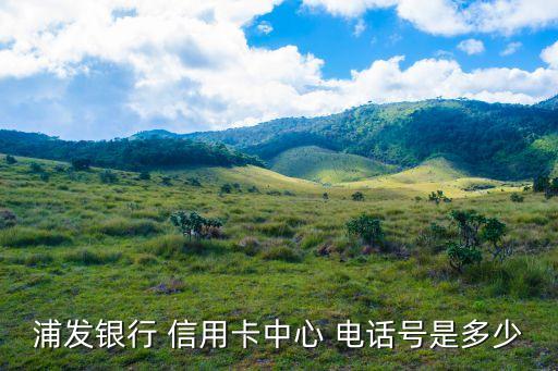 东川区信用卡申请电话,申请信用卡不知道公司电话怎么办