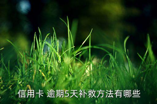 信用卡不小心逾期了5天