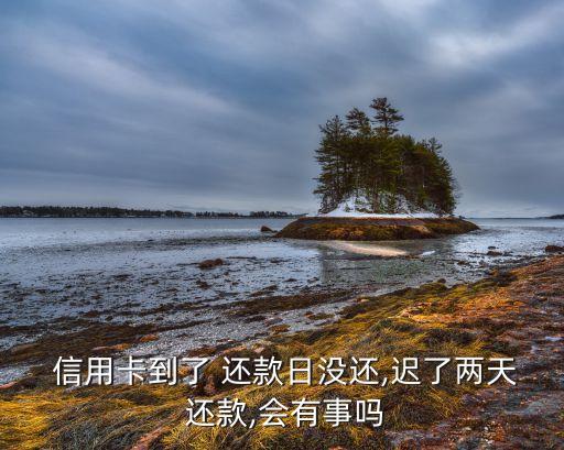 兴业信用卡晚还款一于