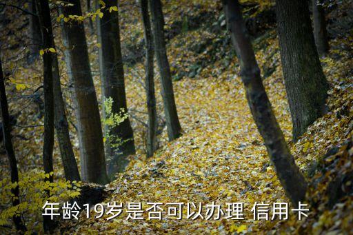 年龄19岁是否可以办理 信用卡