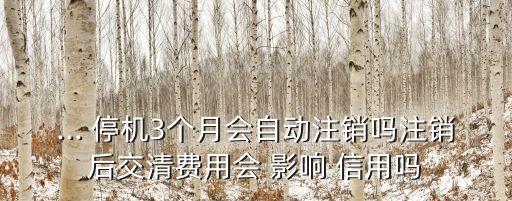 ... 停机3个月会自动注销吗注销后交清费用会 影响 信用吗