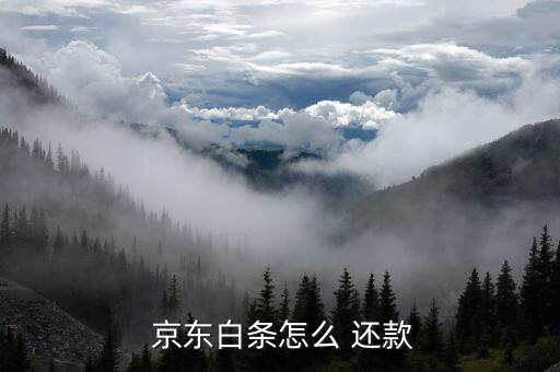  京东白条怎么 还款