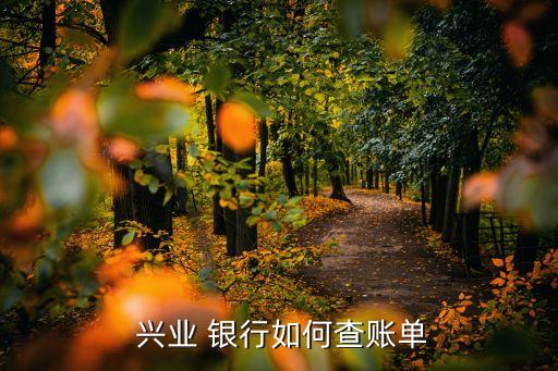  兴业 银行如何查账单