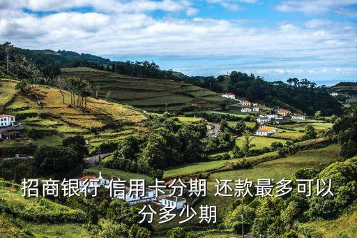招商银行 信用卡分期 还款最多可以分多少期