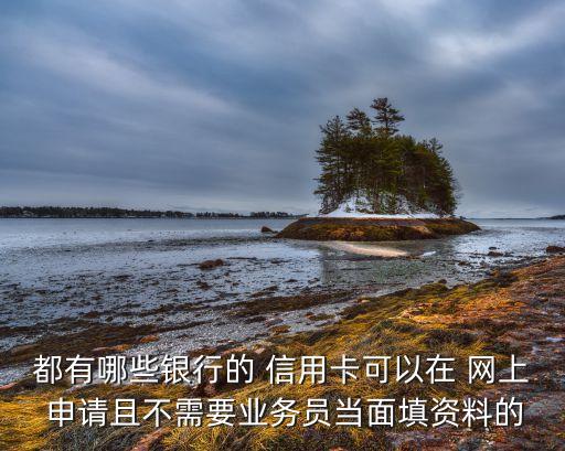 都有哪些银行的 信用卡可以在 网上 申请且不需要业务员当面填资料的