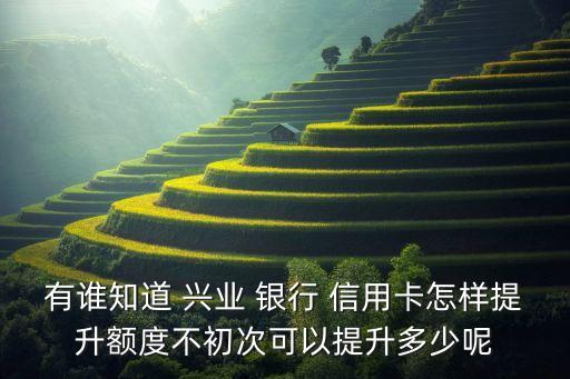 兴业银行信用卡提额在哪里