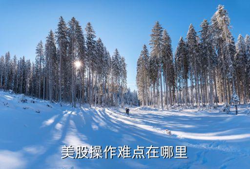 美股操作难点在哪里