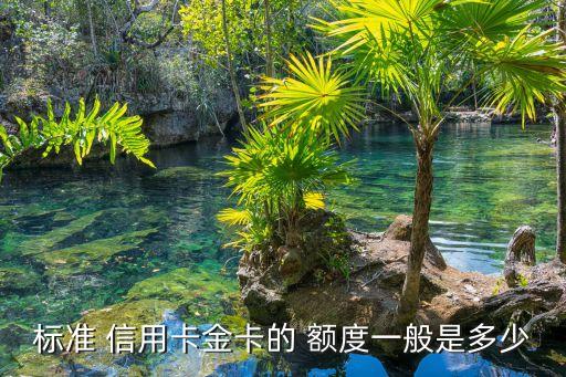 标准 信用卡金卡的 额度一般是多少
