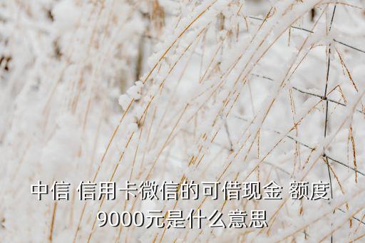 中信 信用卡微信的可借现金 额度 9000元是什么意思