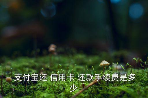  支付宝还 信用卡 还款手续费是多少