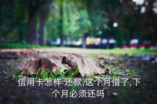  信用卡怎样 还款,这个月借了,下个月必须还吗
