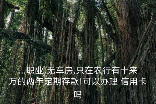 ...职业,无车房,只在农行有十来万的两年定期存款!可以办理 信用卡吗