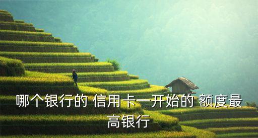 哪个银行的 信用卡一开始的 额度最高银行