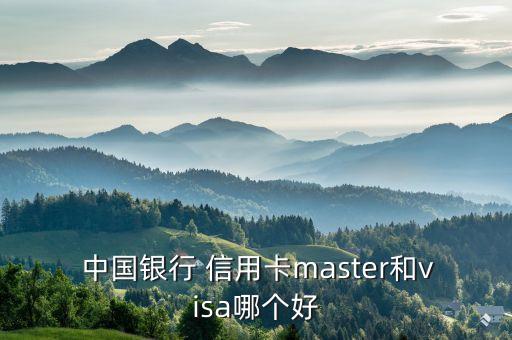  中国银行 信用卡master和visa哪个好
