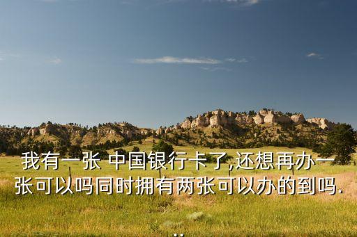 中国银行申请第二张信用卡