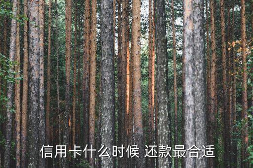  信用卡什么时候 还款最合适