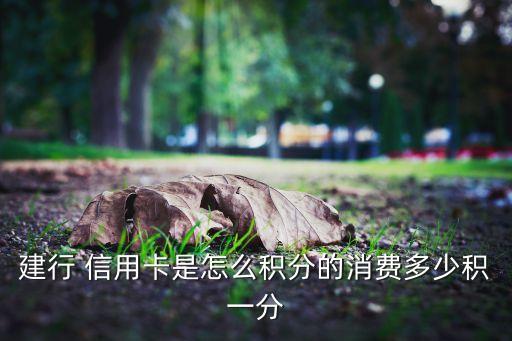 建设银行信用卡5折餐饮,千万别办建设银行信用卡
