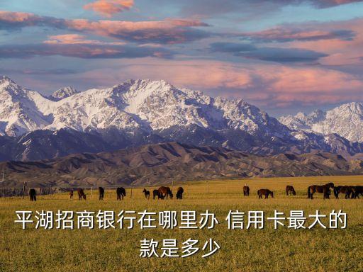 深圳龙岗信用卡申请点查询,招商银行信用卡进度申请查询