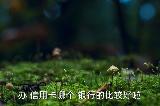 办 信用卡哪个 银行的比较好啦