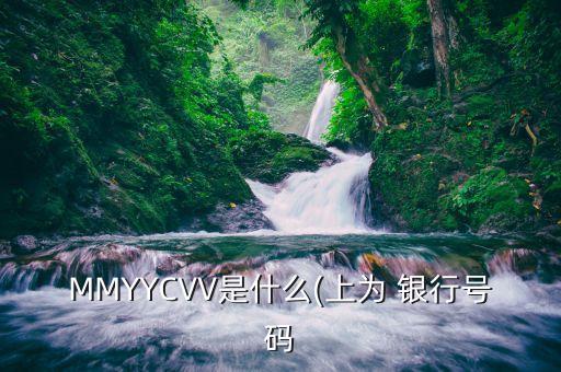 MMYYCVV是什么(上为 银行号码
