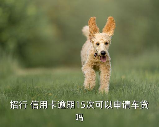 招行 信用卡逾期15次可以申请车贷吗