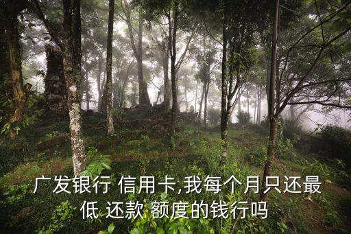  广发银行 信用卡,我每个月只还最低 还款 额度的钱行吗