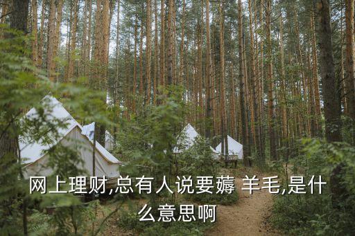 网上理财,总有人说要薅 羊毛,是什么意思啊