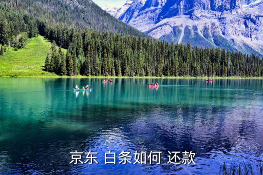  京东 白条如何 还款