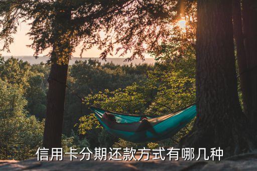  信用卡分期还款方式有哪几种