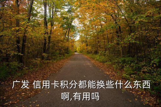 广发信用卡还款签账额