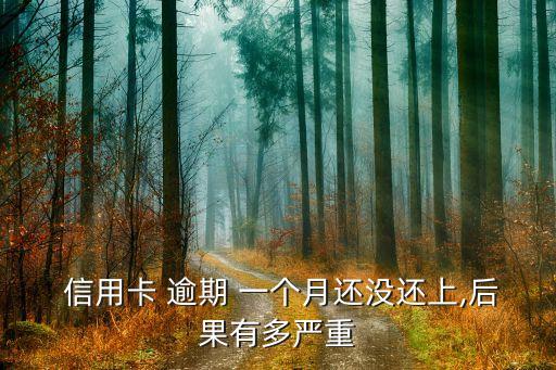 信用卡年费逾期一个月