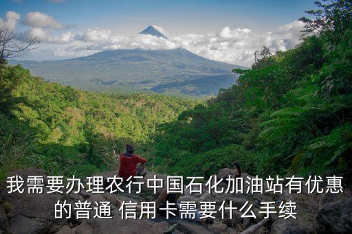 我需要办理农行中国石化加油站有优惠的普通 信用卡需要什么手续