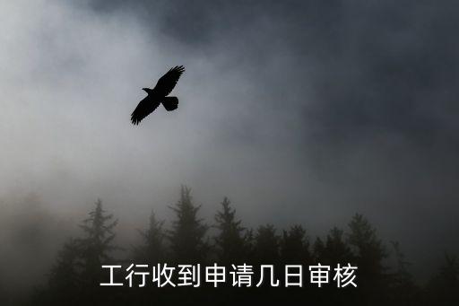 工行收到申请几日审核