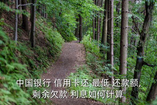 信用卡最低还款什么算利息