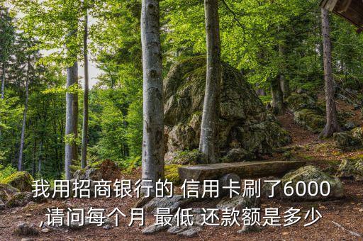 我用招商银行的 信用卡刷了6000,请问每个月 最低 还款额是多少