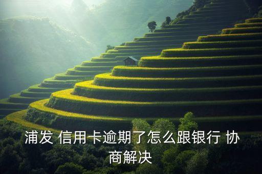  浦发 信用卡逾期了怎么跟银行 协商解决