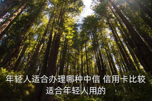 中信银行菁英卡信用卡额度