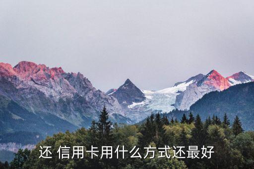 还 信用卡用什么方式还最好