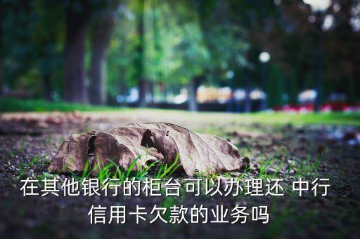 在其他银行的柜台可以办理还 中行 信用卡欠款的业务吗