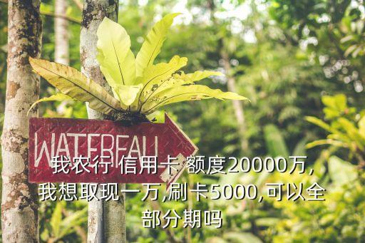 农业银行信用卡分期通额度