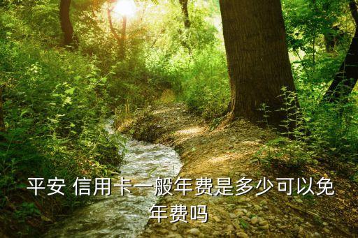  平安 信用卡一般年费是多少可以免年费吗