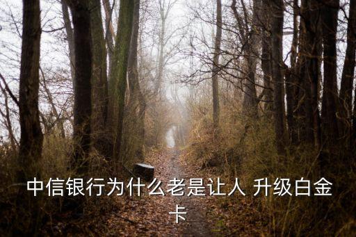  中信银行为什么老是让人 升级白金卡