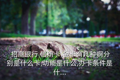 招商银行 信用卡,金卡有几种啊分别是什么卡,功能是什么,办卡条件是什...
